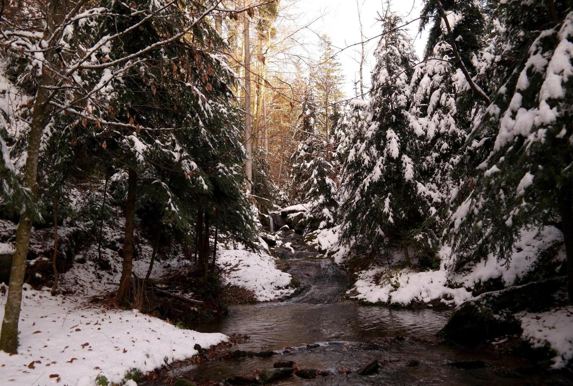 Ferienwohnungen Raczkowski Birkfeld Экстерьер фото