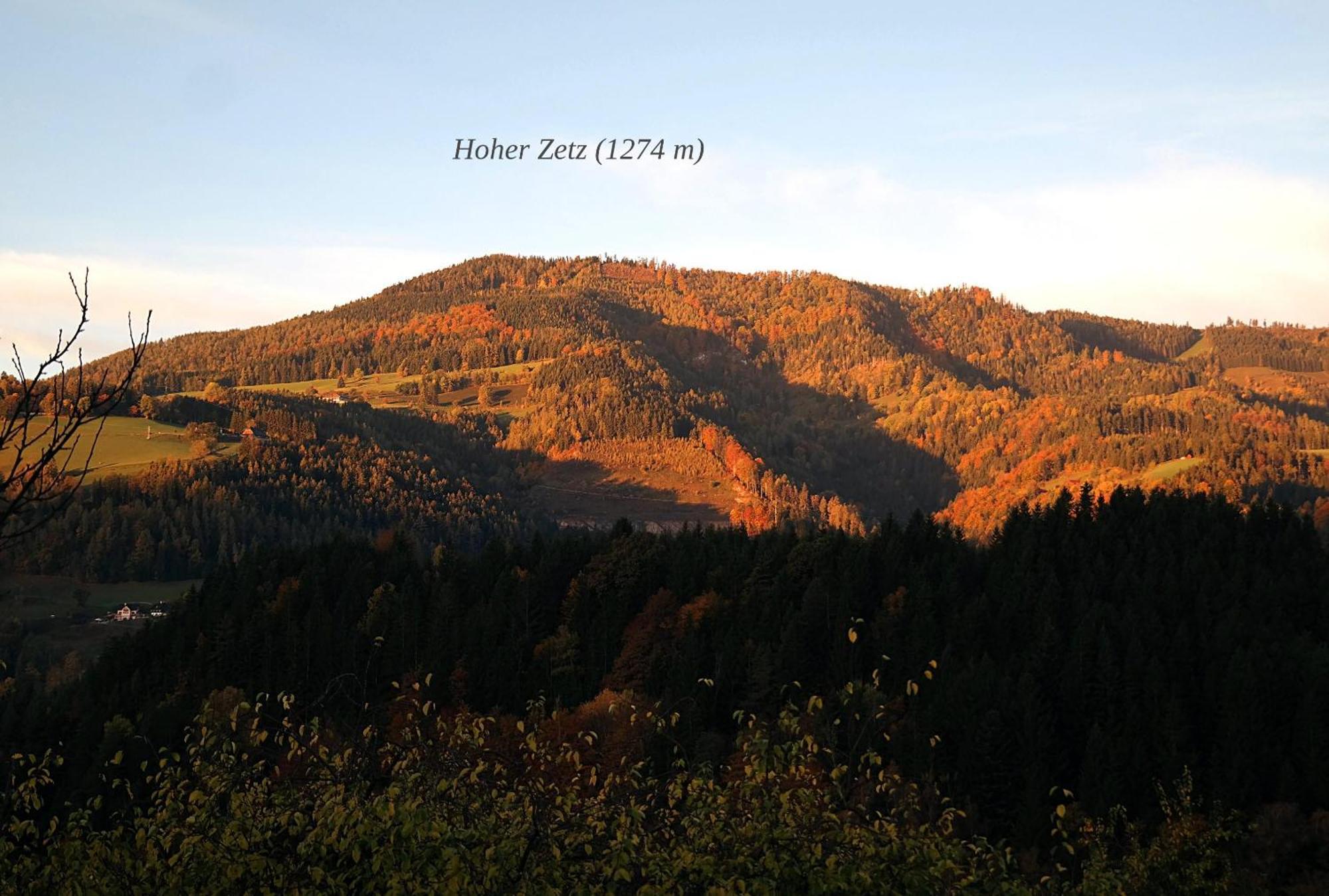 Ferienwohnungen Raczkowski Birkfeld Экстерьер фото