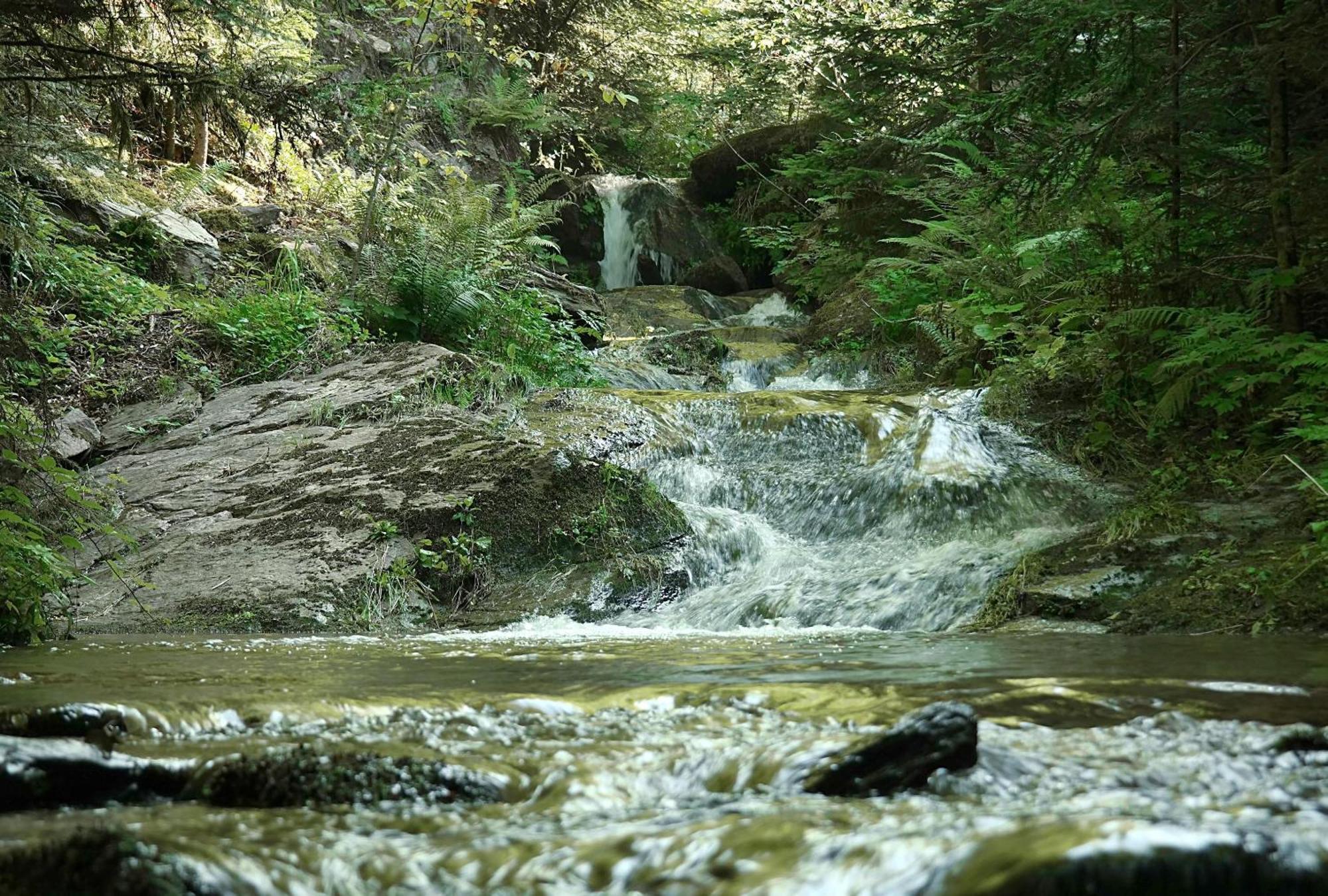Ferienwohnungen Raczkowski Birkfeld Экстерьер фото